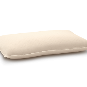 MM Foam Life Companion Pillow