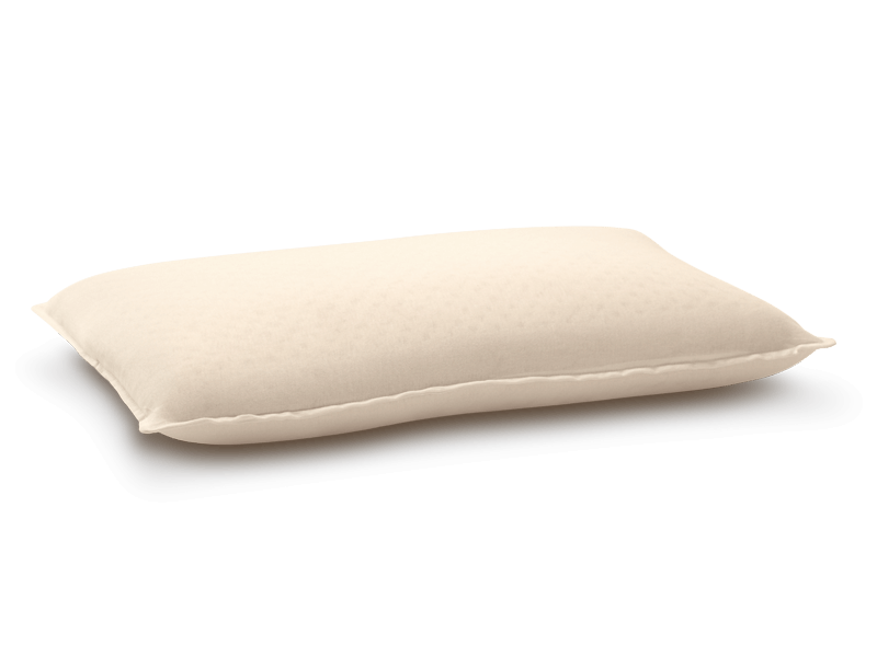 MM Foam Life Companion Pillow