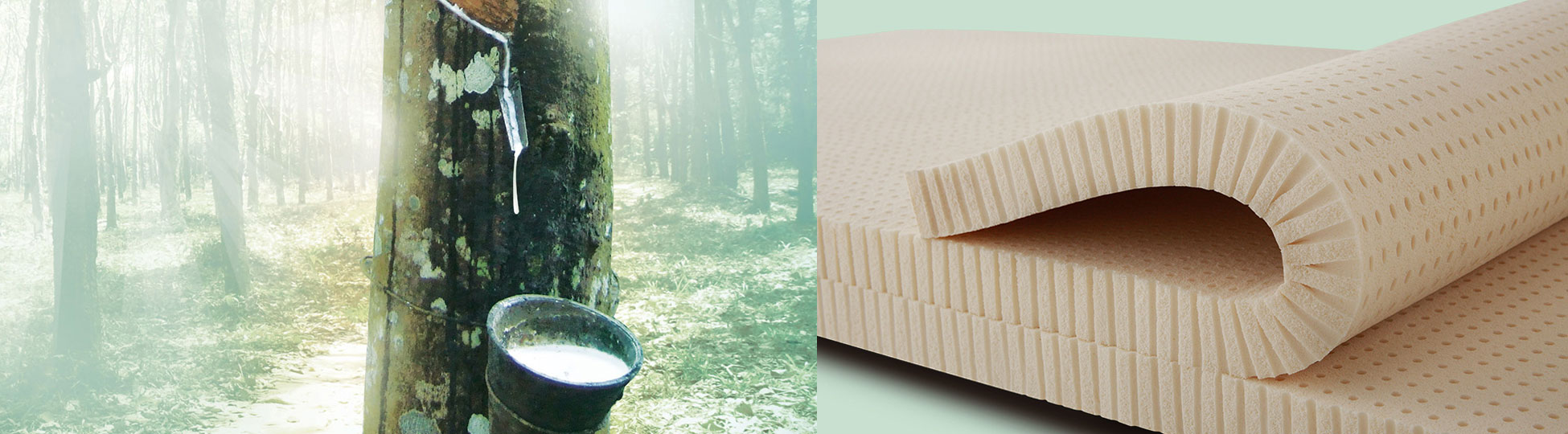 Why Latex Mattresses