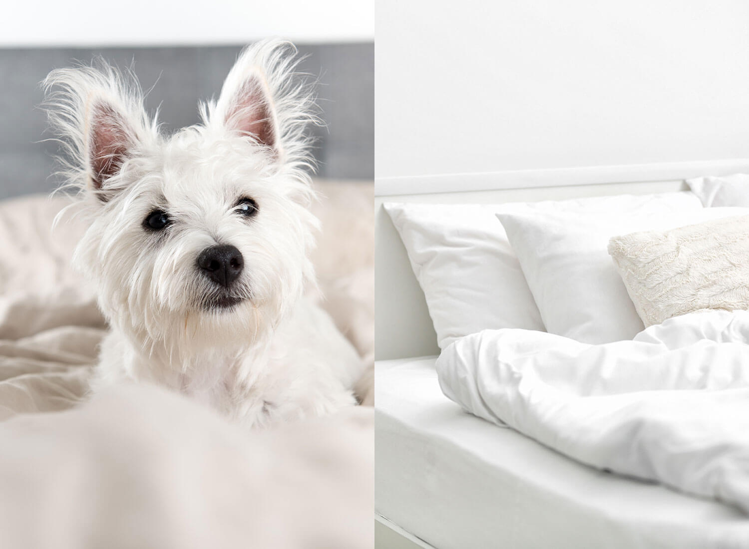 A history of good sleep