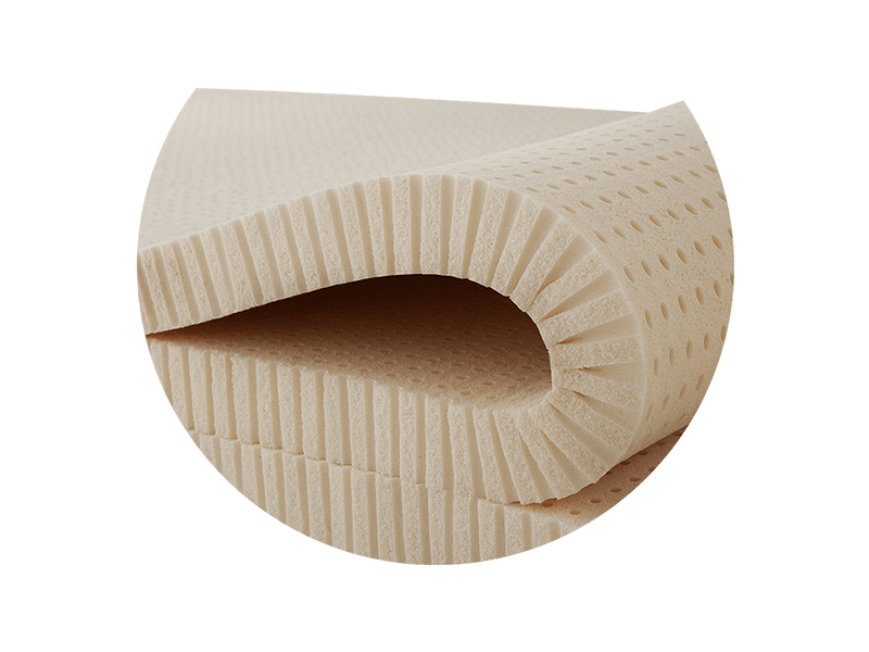 Cross Section sheet of Latex